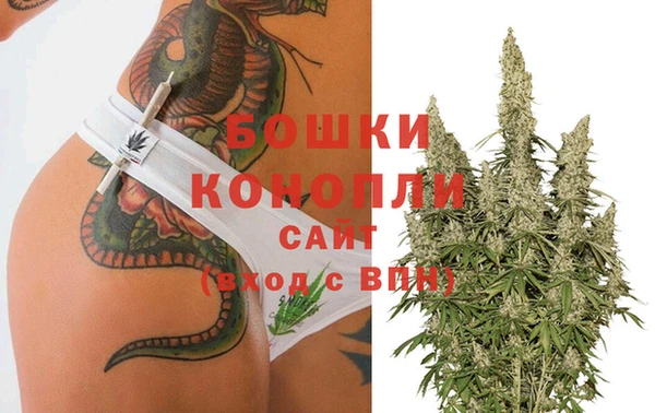 apvp Корсаков