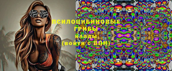 гашик Архангельск