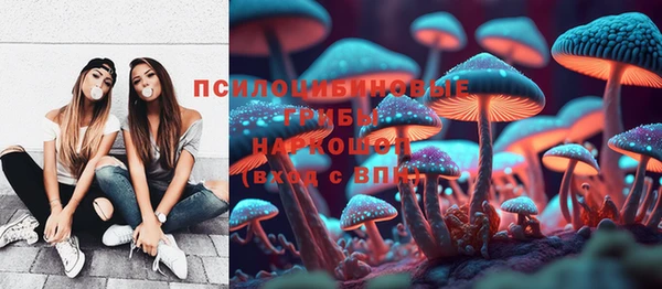 apvp Корсаков