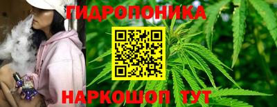 PSILOCYBIN Азнакаево