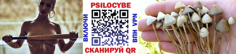 Галлюциногенные грибы Psilocybe  где продают   Усть-Илимск 