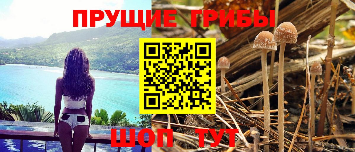 Галлюциногенные грибы мухоморы Усть-Илимск
