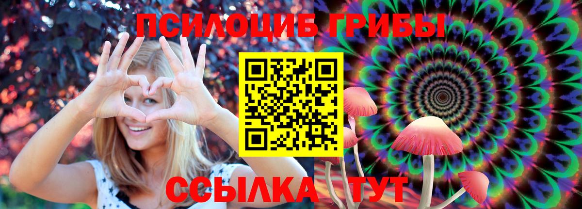 Галлюциногенные грибы GOLDEN TEACHER Усть-Илимск