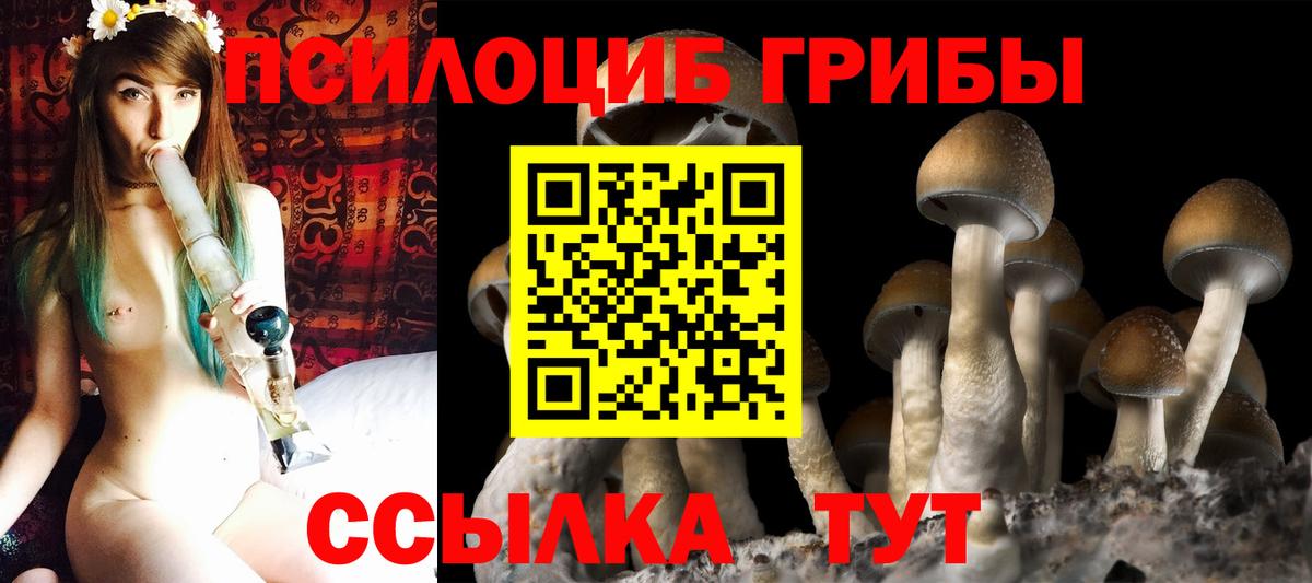 Галлюциногенные грибы ЛСД  Усть-Илимск  Псилоцибиновые грибы GOLDEN TEACHER 